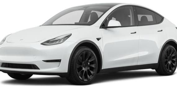 TESLA MODEL Y 2021 5YJYGDEE5MF063905 image